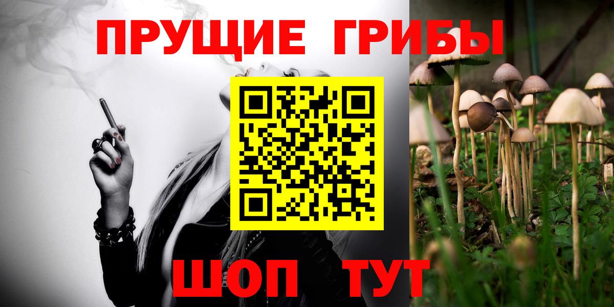 Холмск  Псилоцибиновые грибы мухоморы  Вход с VPN 