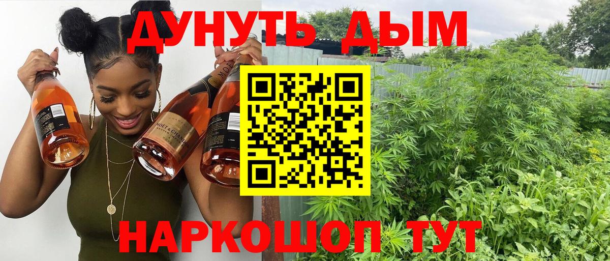 Конопля семена  МАРИХУАНА ГИДРОПОН  Каннабис конопля  Канабис конопля  Вход с VPN  Холмск 